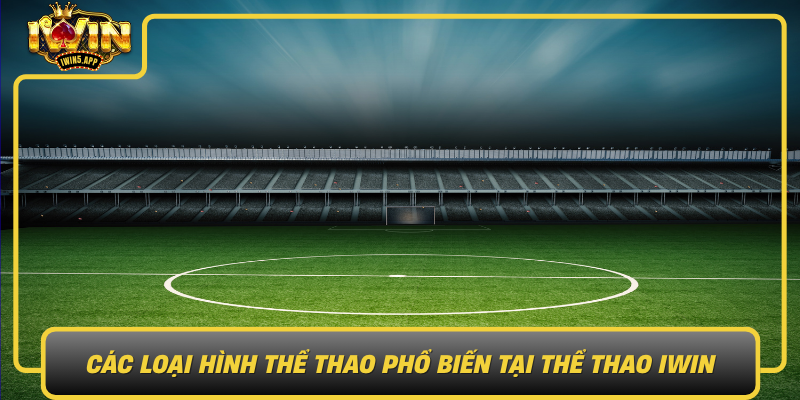 Cac Loai Hinh The Thao Pho Bien Tai The Thao Iwin0