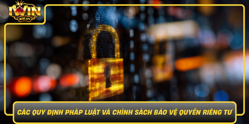 Cac Quy Dinh Phap Luat Va Chinh Sach Bao Ve Quyen Rieng Tu