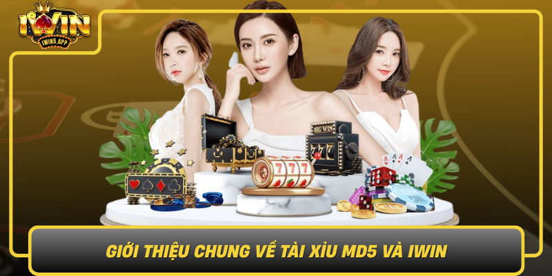 Gioi Thieu Chung Ve Tai Xiu Md5 Va Iwin